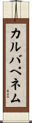 カルバペネム Scroll
