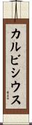 カルビシウス Scroll