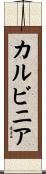 カルビニア Scroll