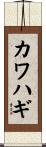 カワハギ Scroll