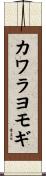 カワラヨモギ Scroll