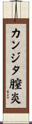 カンジタ膣炎 Scroll
