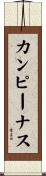 カンピーナス Scroll
