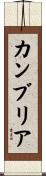 カンブリア Scroll