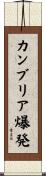 カンブリア爆発 Scroll