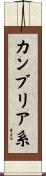 カンブリア系 Scroll