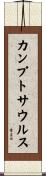 カンプトサウルス Scroll