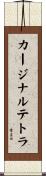 カージナルテトラ Scroll