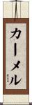 Carmel Scroll
