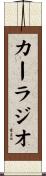 カーラジオ Scroll