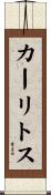 Carlitos Scroll