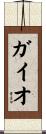 ガイオ Scroll