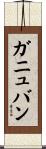 ガニュバン Scroll