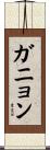 ガニョン Scroll