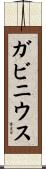 ガビニウス Scroll