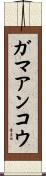 ガマアンコウ Scroll