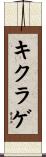 キクラゲ Scroll