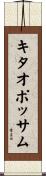 キタオポッサム Scroll