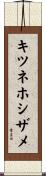 キツネホシザメ Scroll
