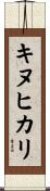 キヌヒカリ Scroll
