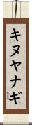キヌヤナギ Scroll