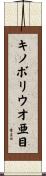 キノボリウオ亜目 Scroll