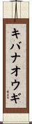 キバナオウギ Scroll