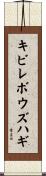 キビレボウズハギ Scroll