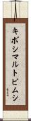 キボシマルトビムシ Scroll