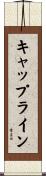 キャップライン Scroll