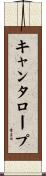 キャンタロープ Scroll