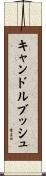 キャンドルブッシュ Scroll