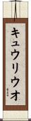 キュウリウオ Scroll