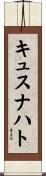 キュスナハト Scroll
