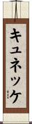 キュネッケ Scroll