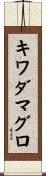 キワダマグロ Scroll