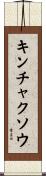 キンチャクソウ Scroll