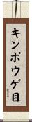キンポウゲ目 Scroll