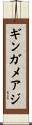 ギンガメアジ Scroll