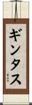ギンタス Scroll
