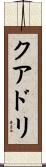 クアドリ Scroll