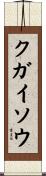 クガイソウ Scroll