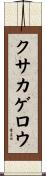 クサカゲロウ Scroll