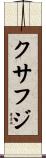 クサフジ Scroll