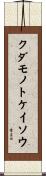 クダモノトケイソウ Scroll