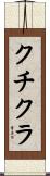 クチクラ Scroll
