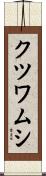クツワムシ Scroll