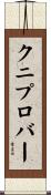 クニプロバー Scroll