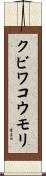 クビワコウモリ Scroll