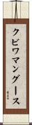 クビワマングース Scroll
